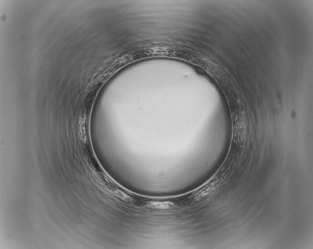 X0000052540654200507221427