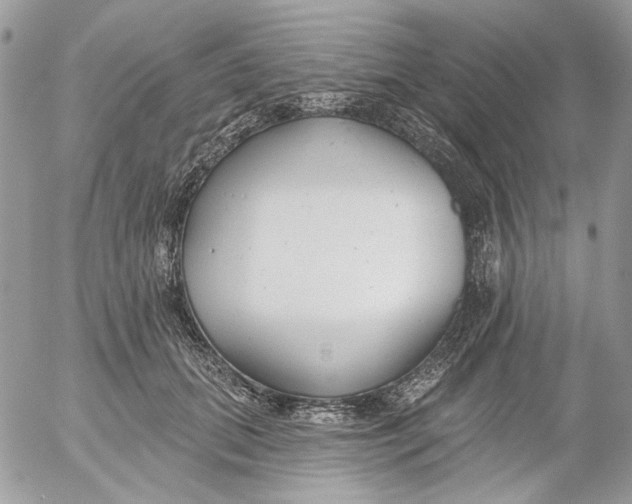 X0000052540655200507221427