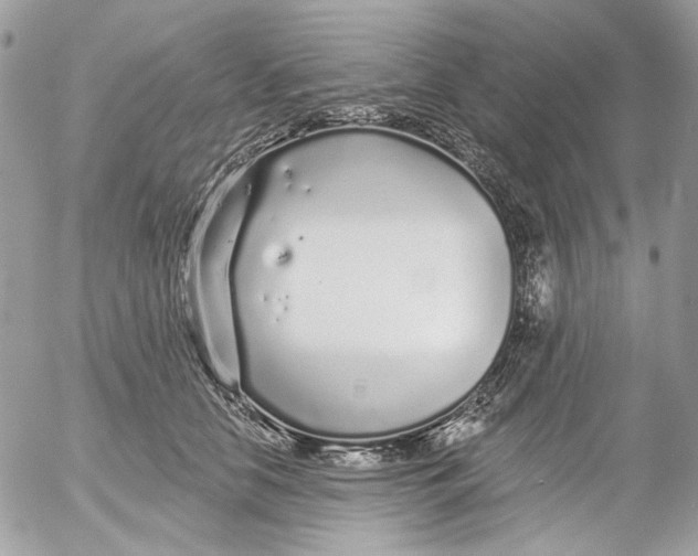 X0000052540658200507221427