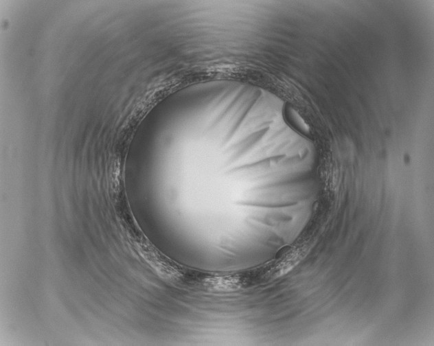 X0000052540660200507221427