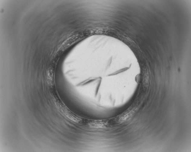 X0000052540661200507221427