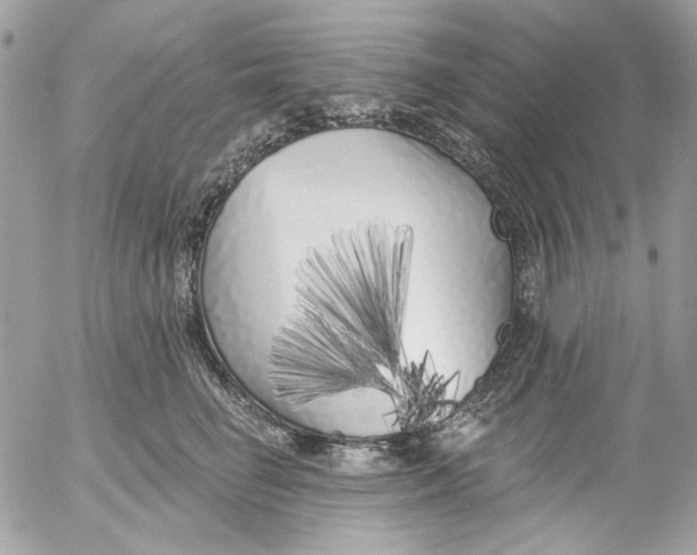 X0000052540662200507221427