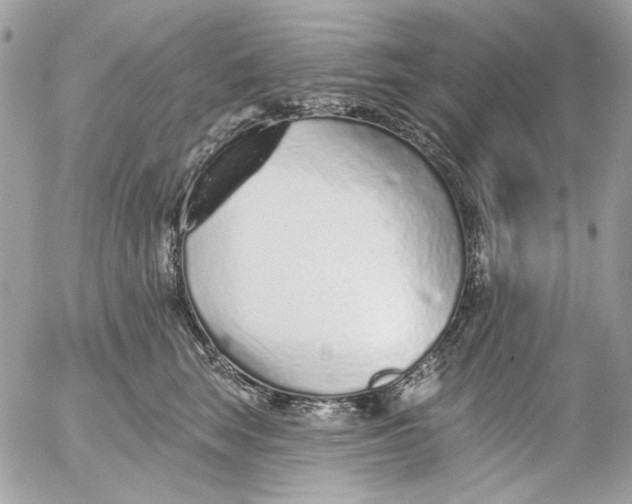 X0000052540663200507221427