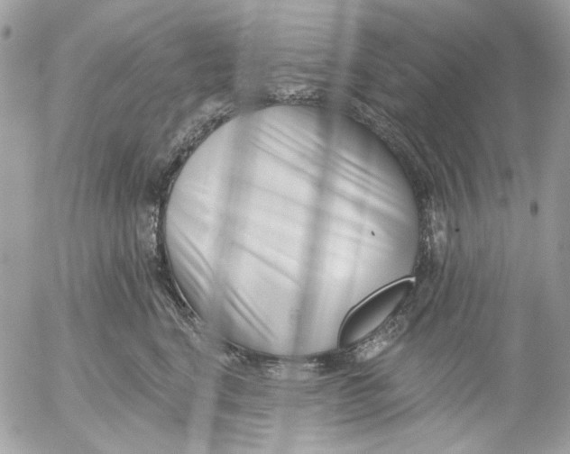 X0000052540664200507221427