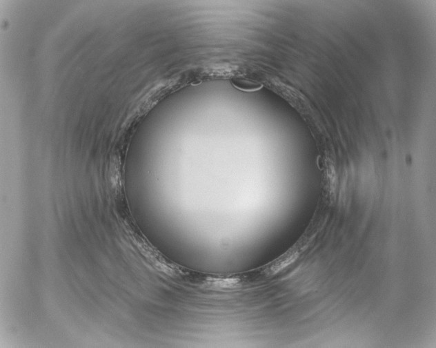 X0000052540665200507221427