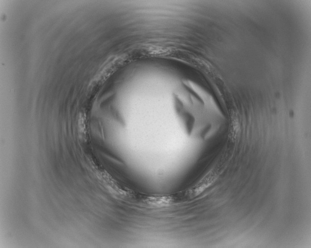 X0000052540667200507221427