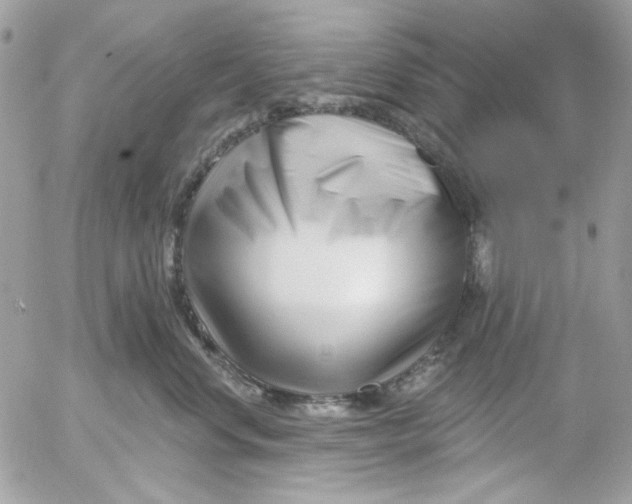 X0000052540668200507221427