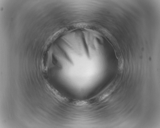 X0000052540669200507221427