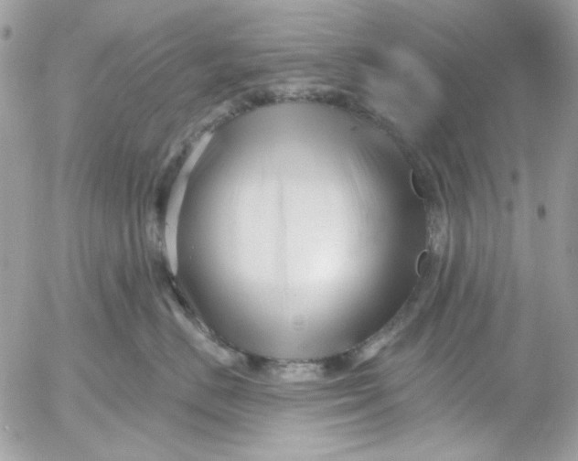 X0000052540670200507221427