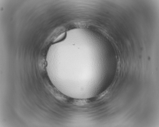 X0000052540671200507221427