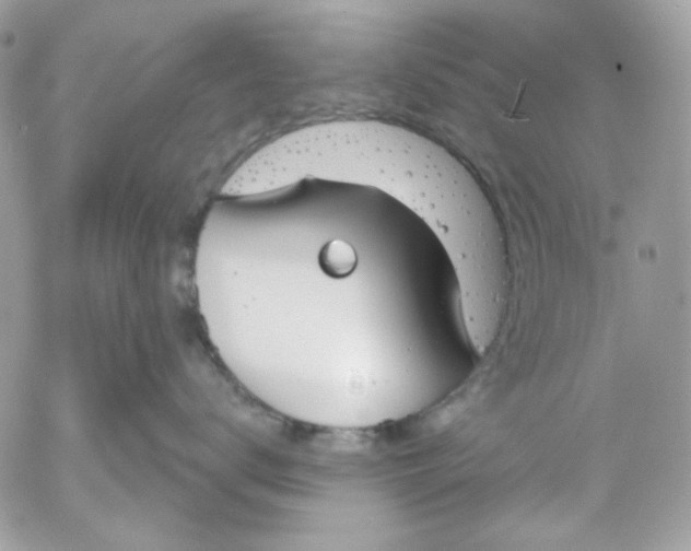 X0000052540672200507221427