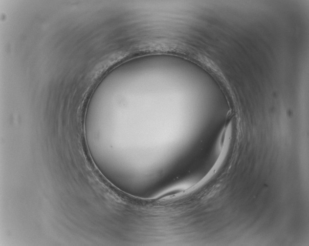 X0000052540673200507221426