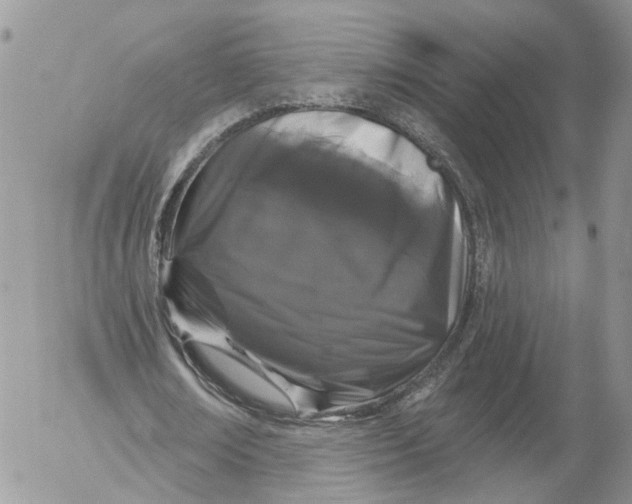 X0000052540674200507221426