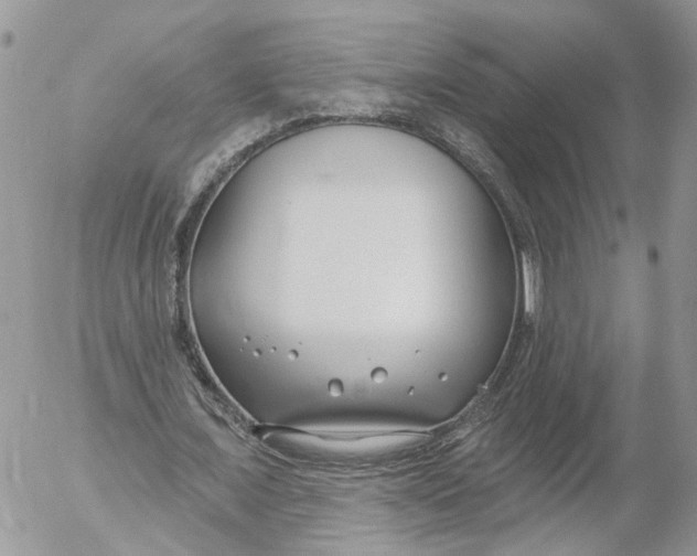 X0000052540675200507221426