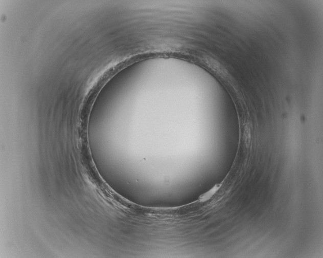 X0000052540676200507221426