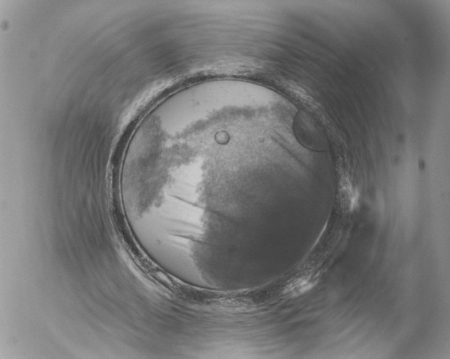 X0000052540678200507221426