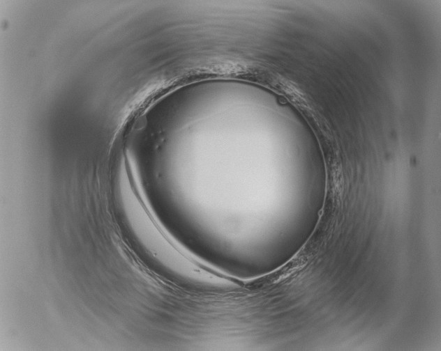 X0000052540679200507221426