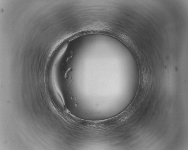 X0000052540680200507221426