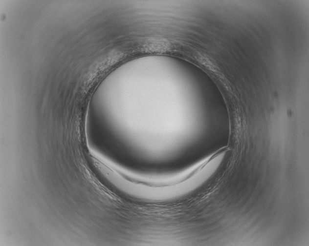 X0000052540681200507221426