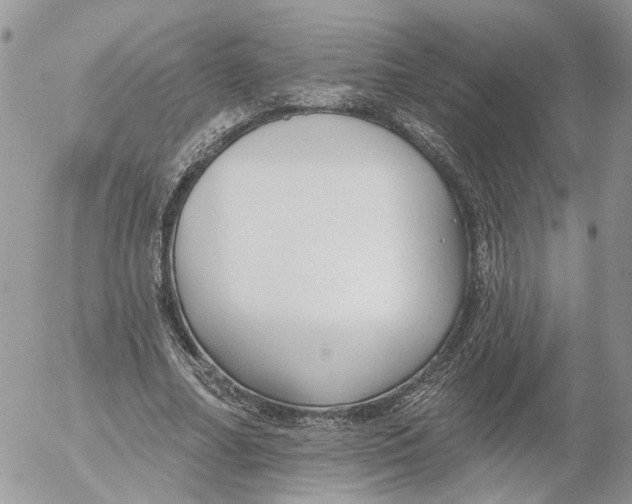 X0000052540682200507221426