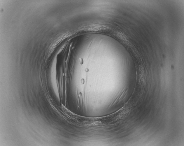 X0000052540683200507221426