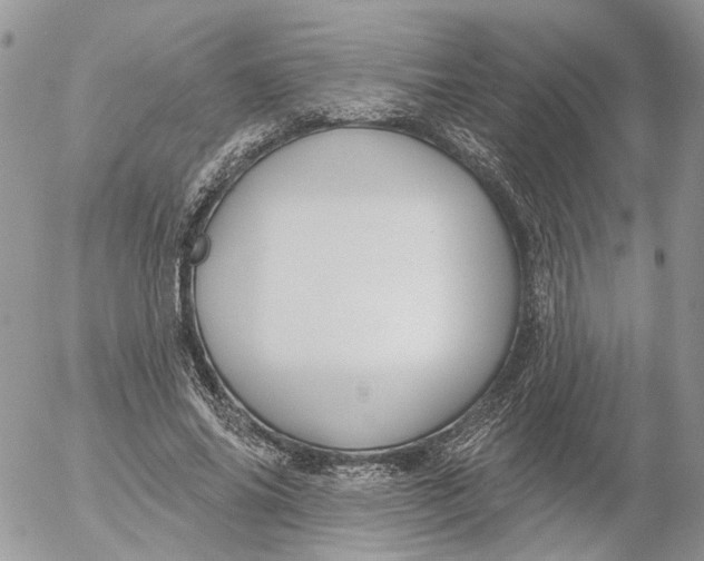 X0000052540686200507221426