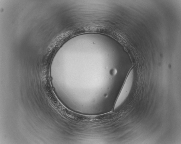 X0000052540687200507221426