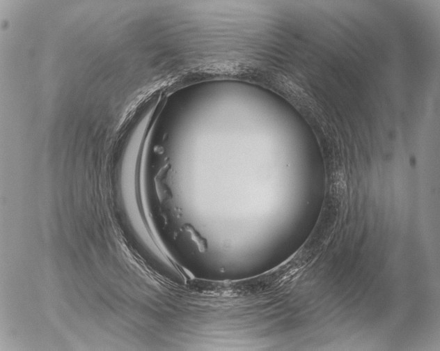 X0000052540688200507221426