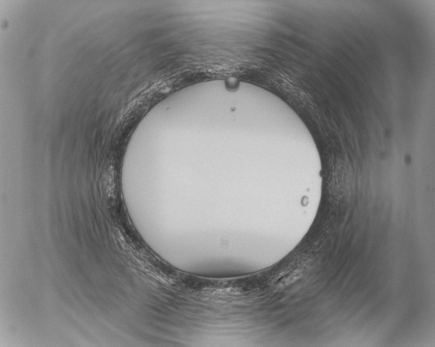 X0000052540689200507221426