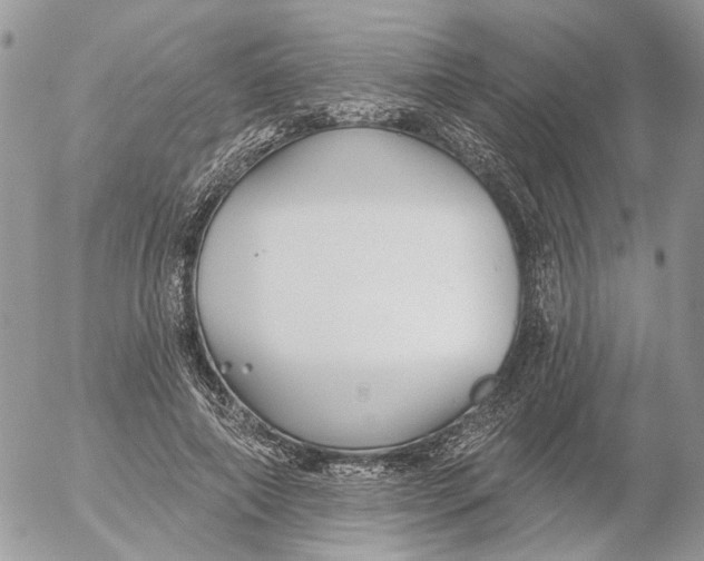 X0000052540690200507221426