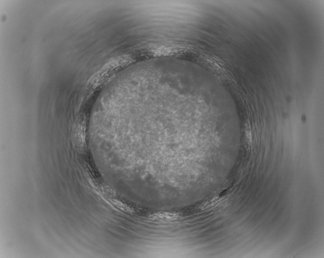 X0000052540691200507221426