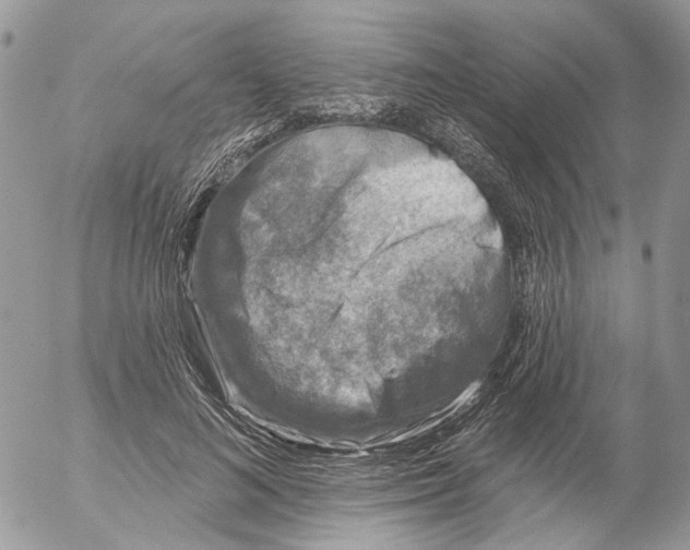 X0000052540692200507221426