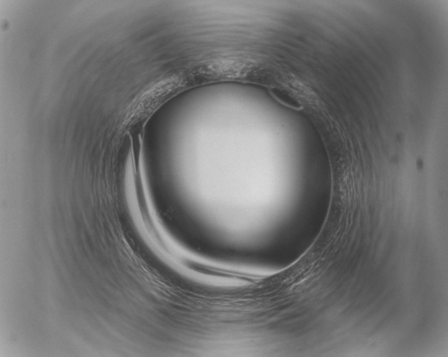 X0000052540693200507221426