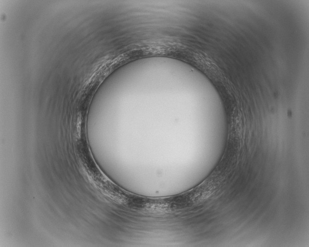 X0000052540694200507221426