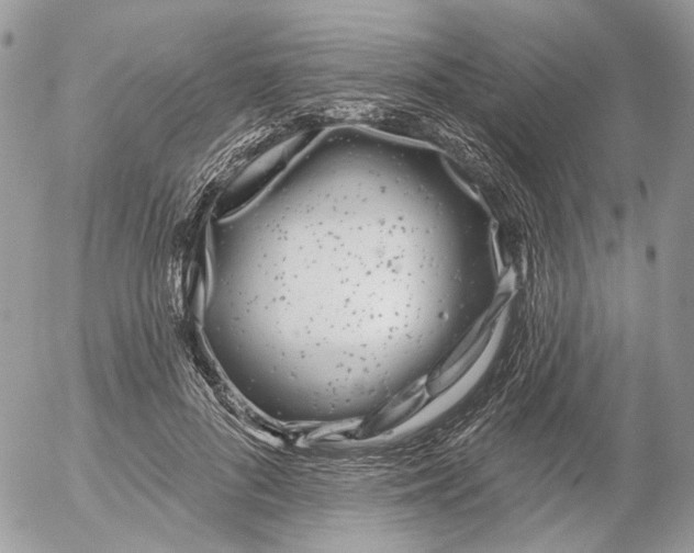 X0000052540696200507221426