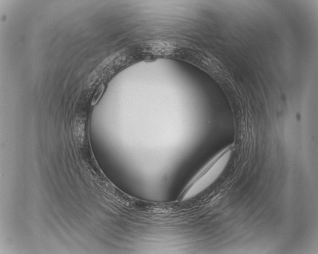 X0000052540697200507221426