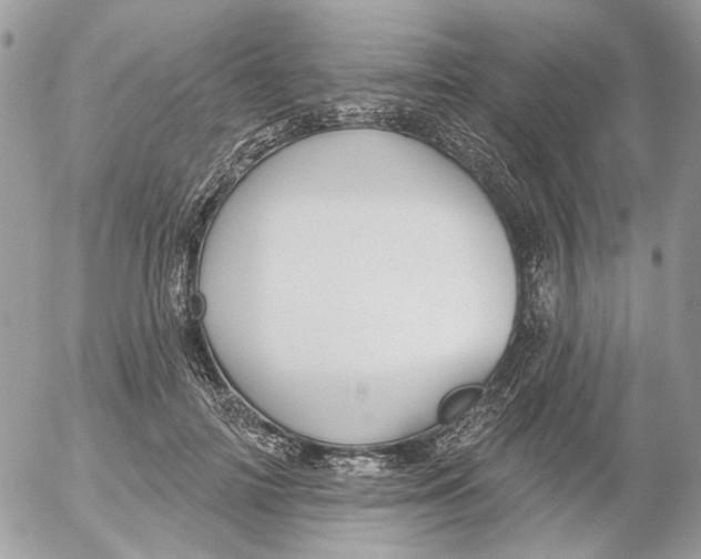 X0000052540698200507221426