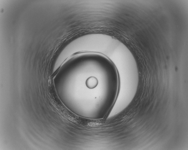 X0000052540699200507221426