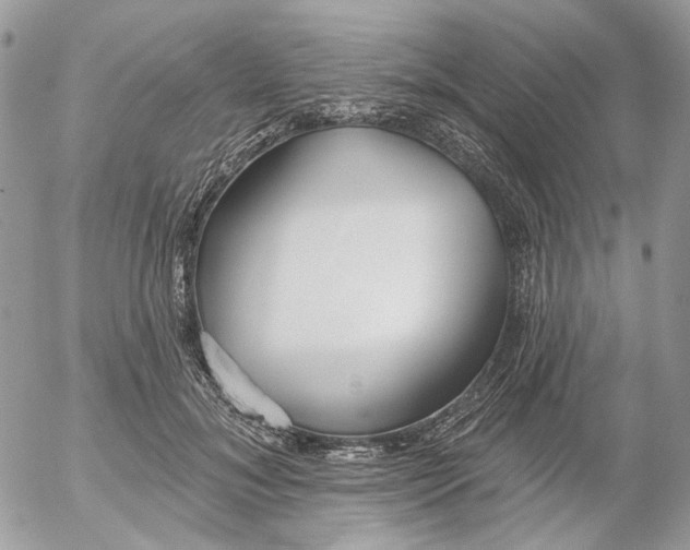 X0000052540700200507221426