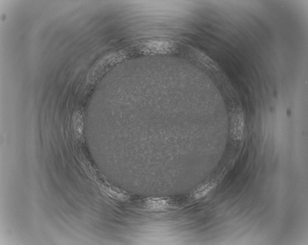 X0000052540701200507221426