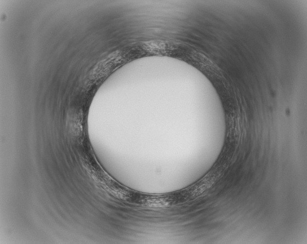 X0000052540702200507221426