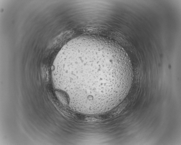 X0000052540703200507221426