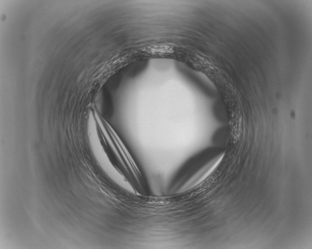 X0000052540704200507221426