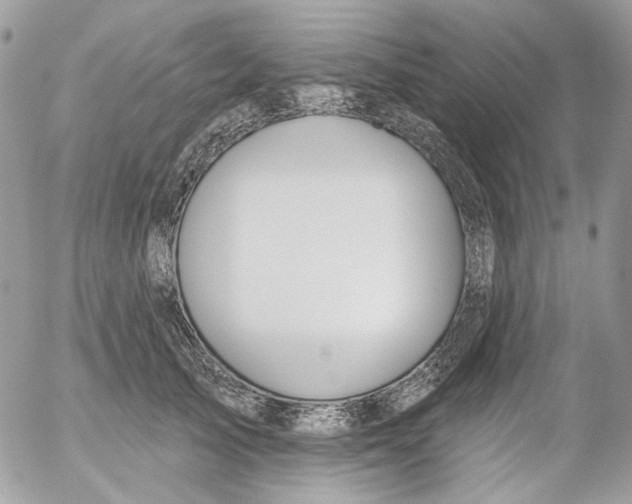 X0000052540705200507221426