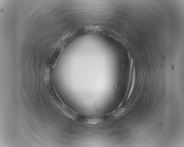 X0000052540708200507221426