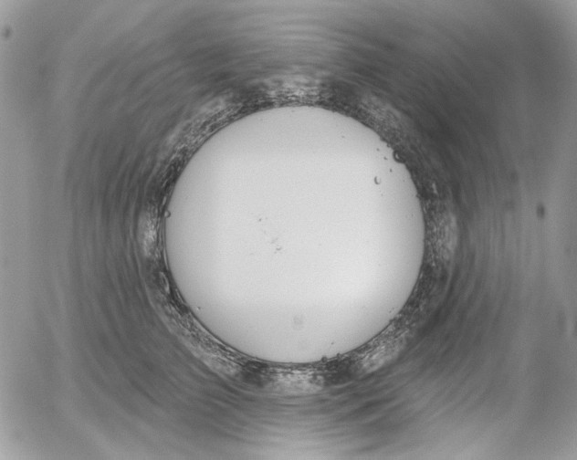 X0000052540709200507221426