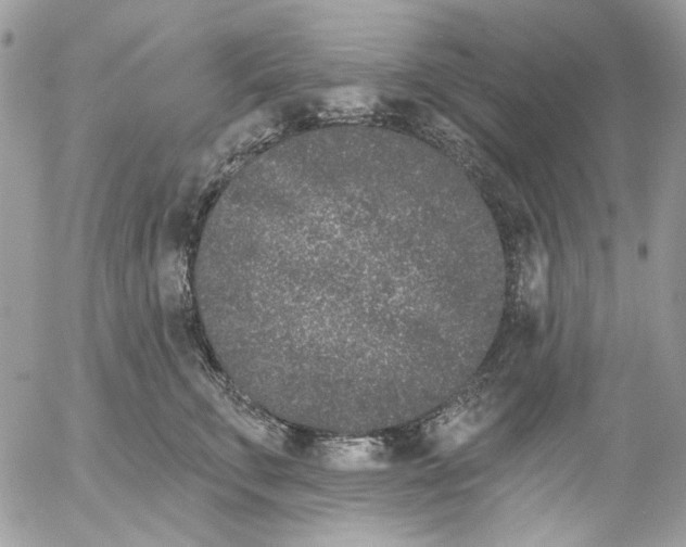 X0000052540711200507221426