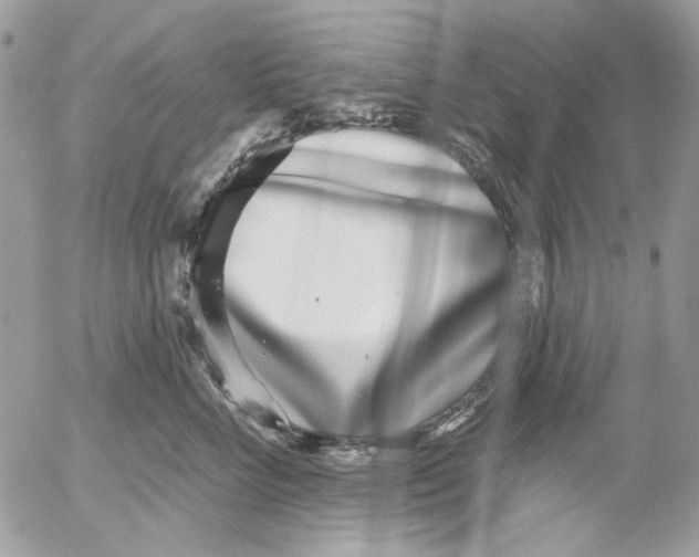 X0000052540712200507221426