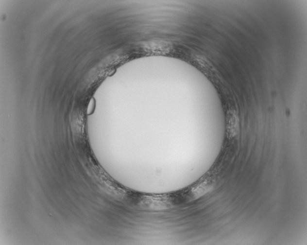 X0000052540713200507221426