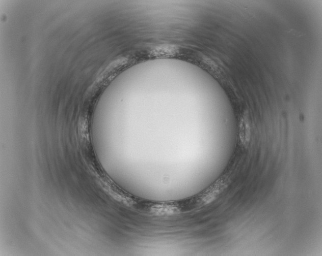 X0000052540714200507221426